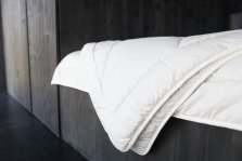 Schlafen Sie gut! Schlafen Sie gut!